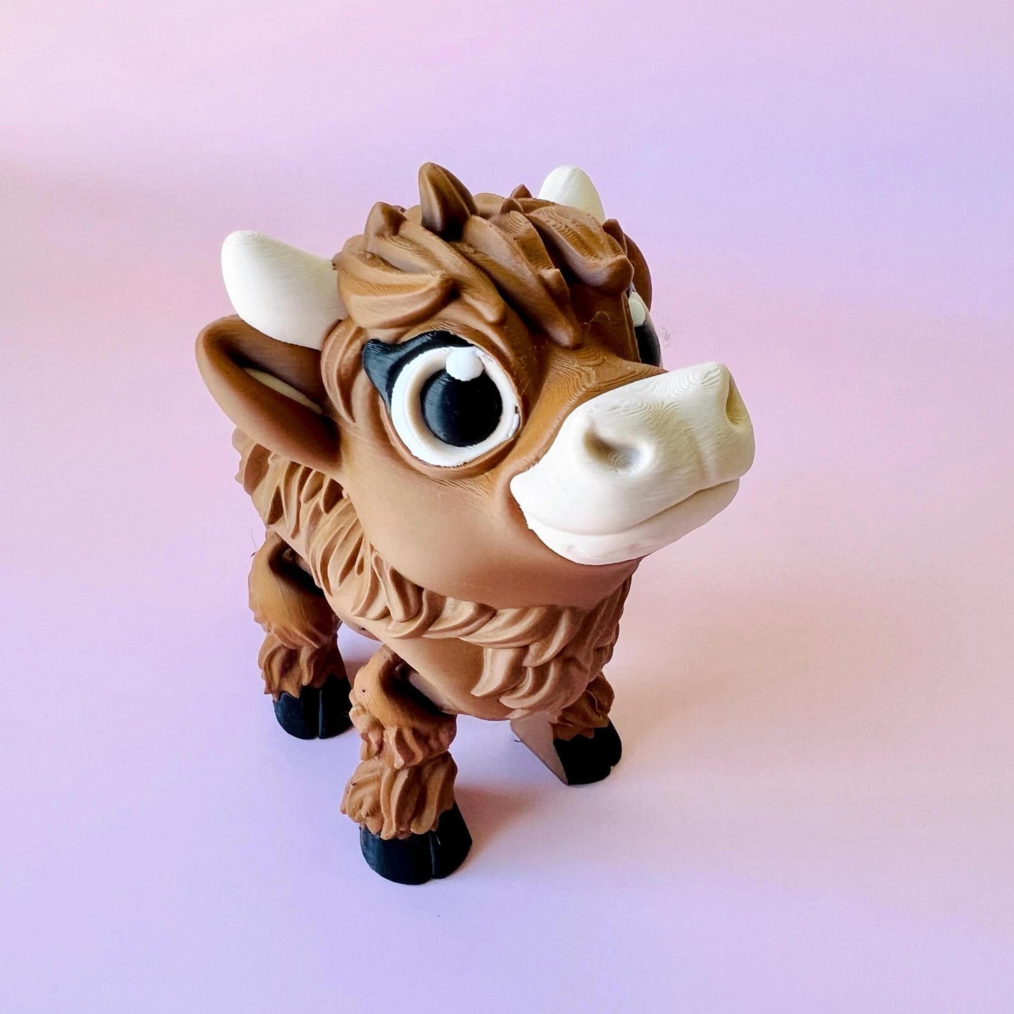 Highland Cow