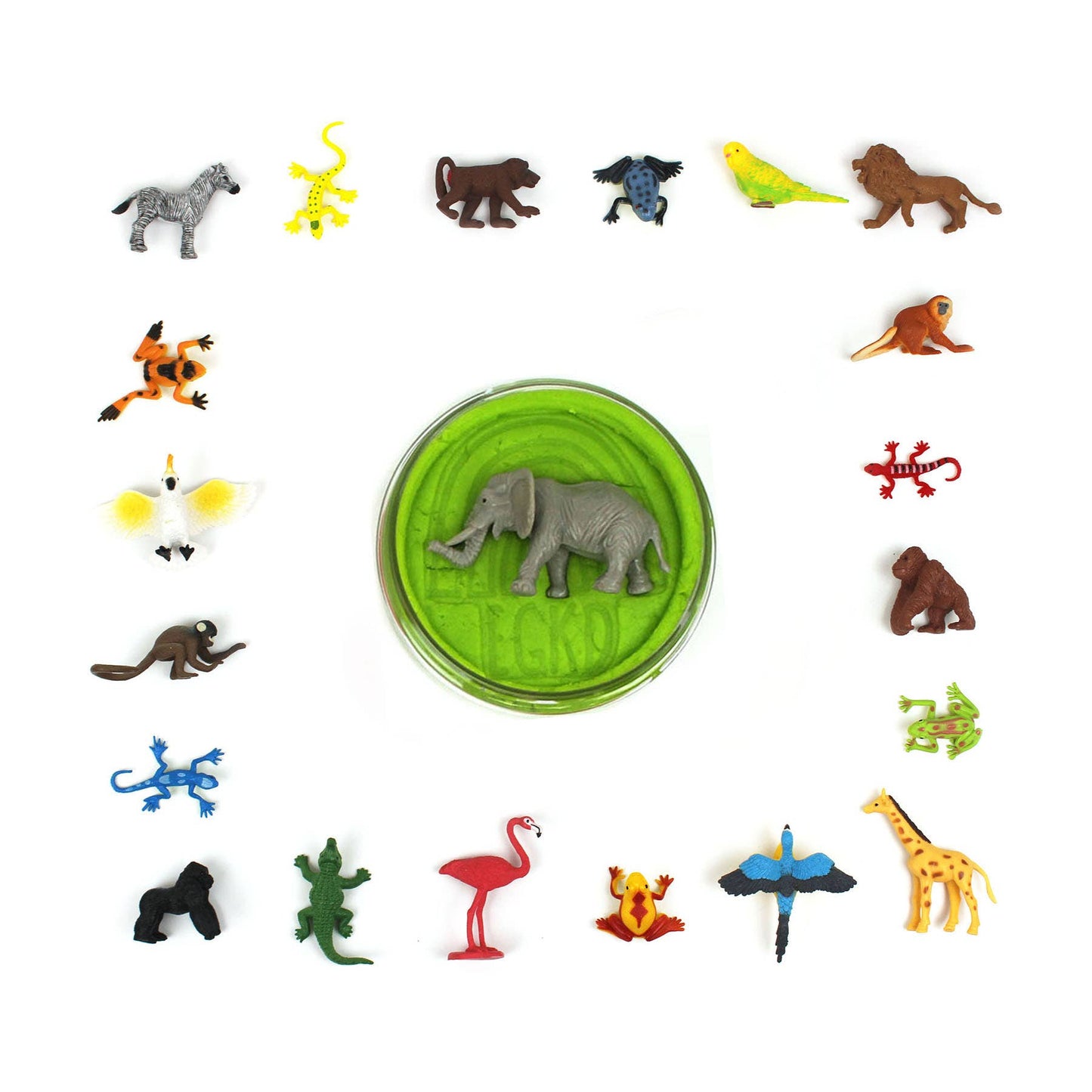 Hidden Surprise Collection - Wild Animal