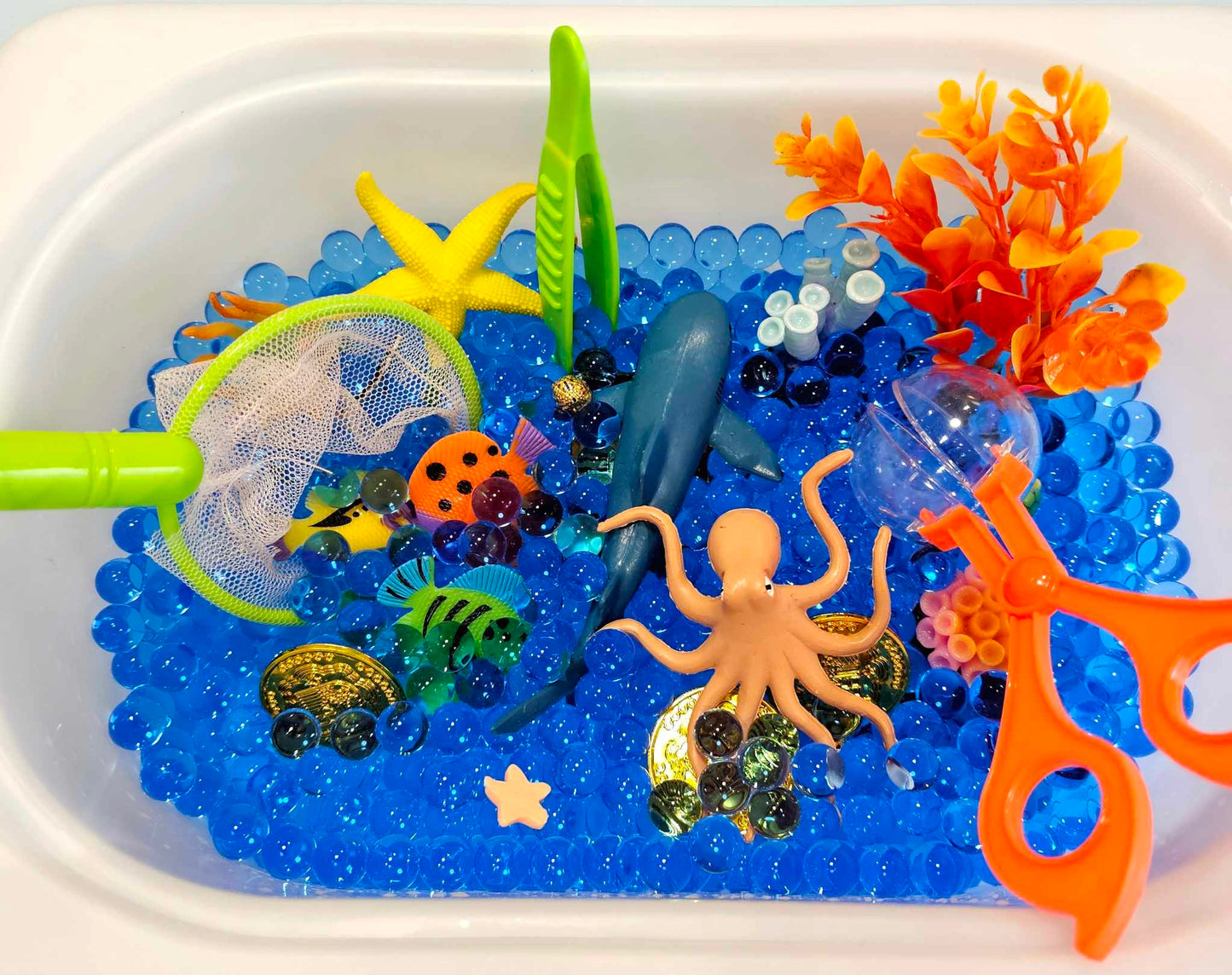 Coral Reef Play Kit