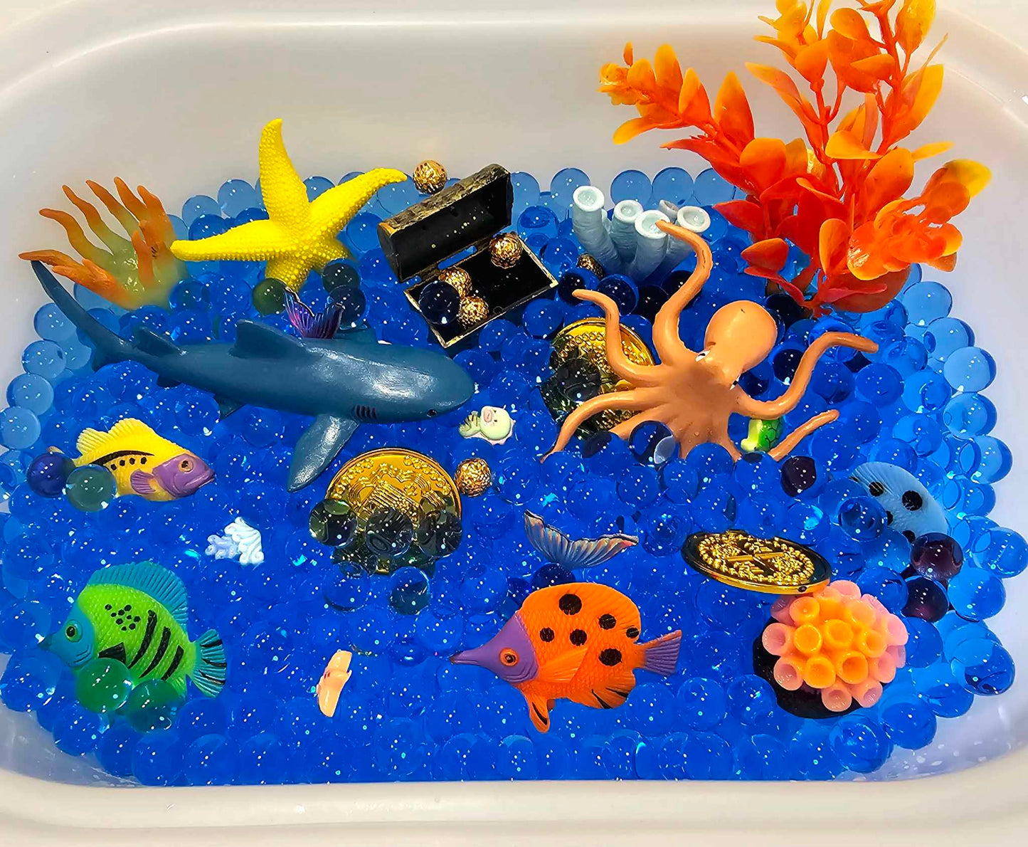 Coral Reef Play Kit