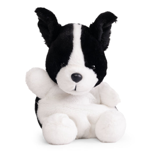 Snugglies Pets - Border Collie
