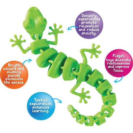 Sensory Gecko