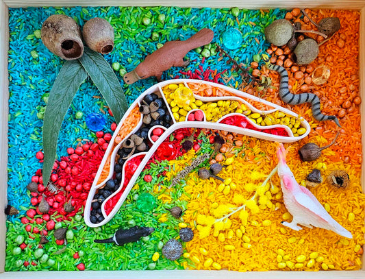 Indigenous Play Kit with Eco Tray