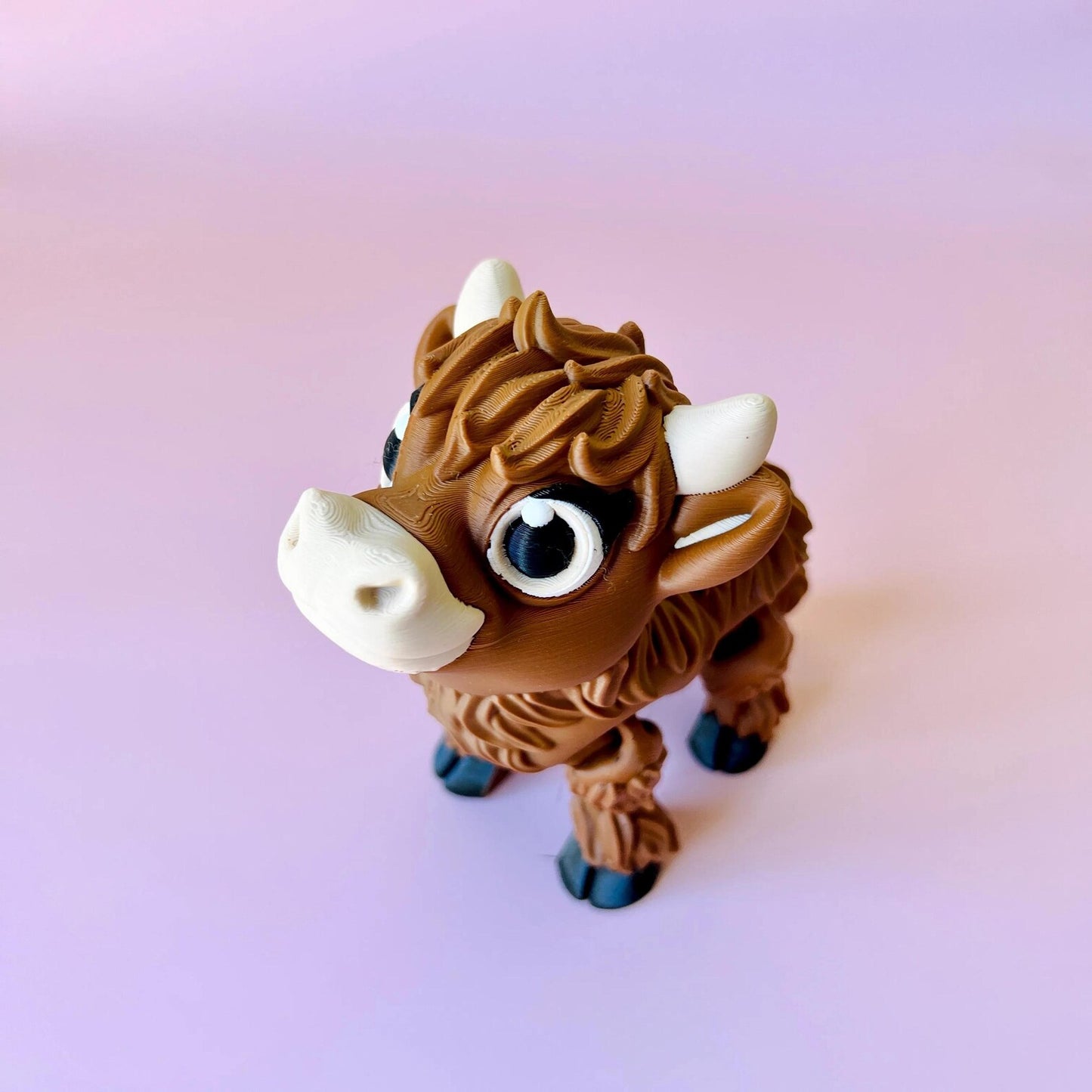 Highland Cow