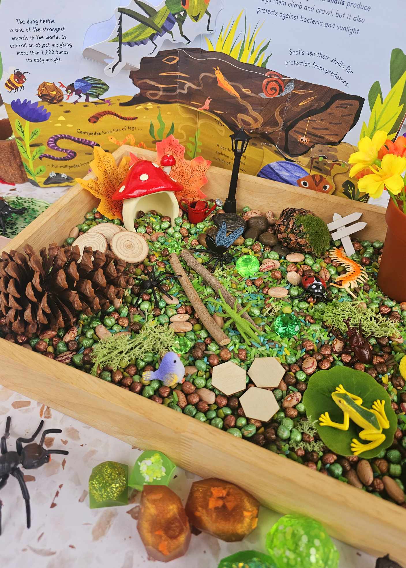 Garden Bugs Sensory Play Kit