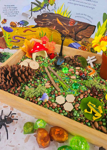 Garden Bugs Sensory Play Kit